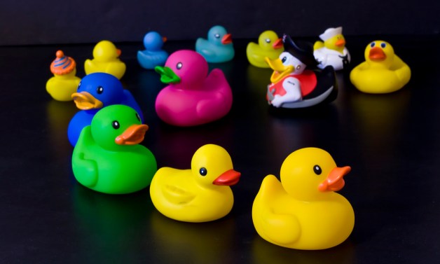 From Flickr by Cliff Johnson, CC BY-SA 2.0